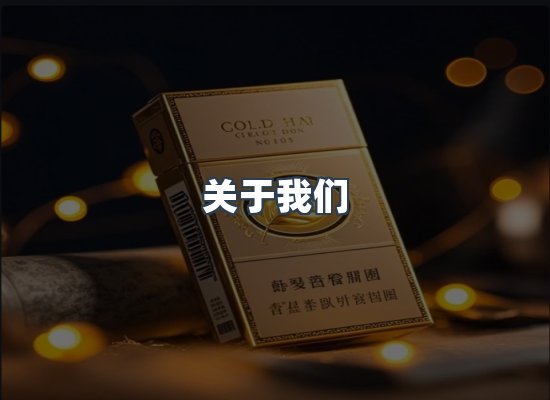 关于我们